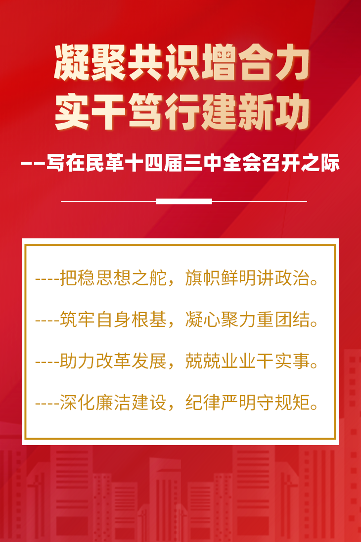 凝聚共識增合力 實干篤行建新功——寫在民革十四屆三中全會召開之際