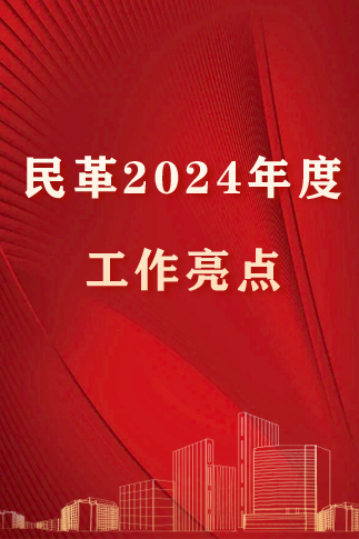 2024民革工作成績單